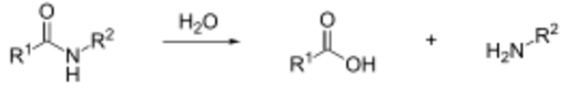 Amide hydrolysis.svg